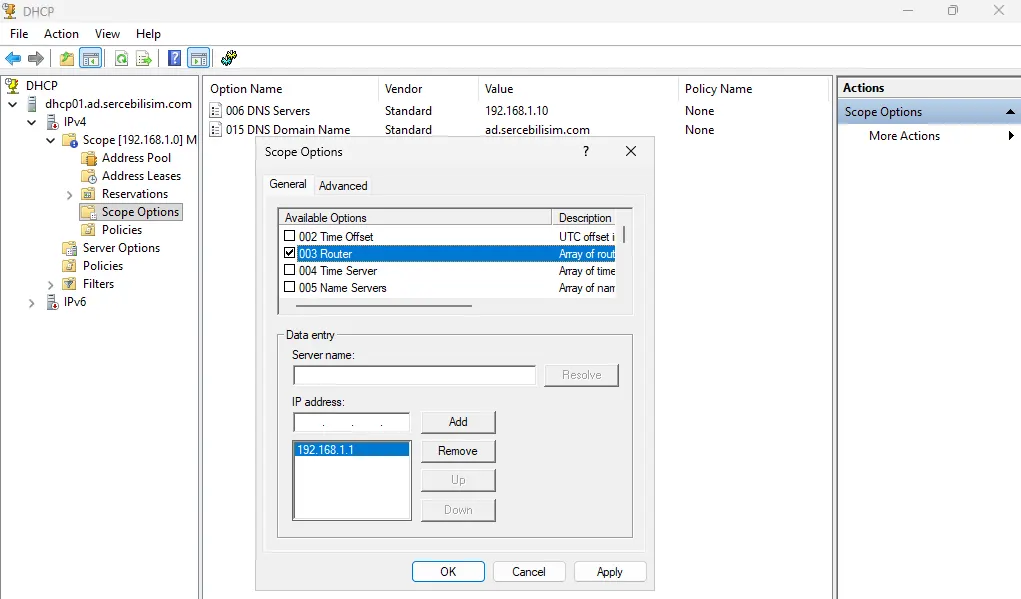 Scope Options penceresinde 003 Router seçeneğine gateway adresi girilirken arkadaki listede 006 ve 015 değerleri görünüyor