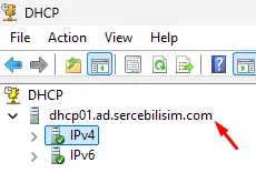 DHCP Manager ağacında IPv4 ve IPv6 düğümlerinde yeşil onay rozeti