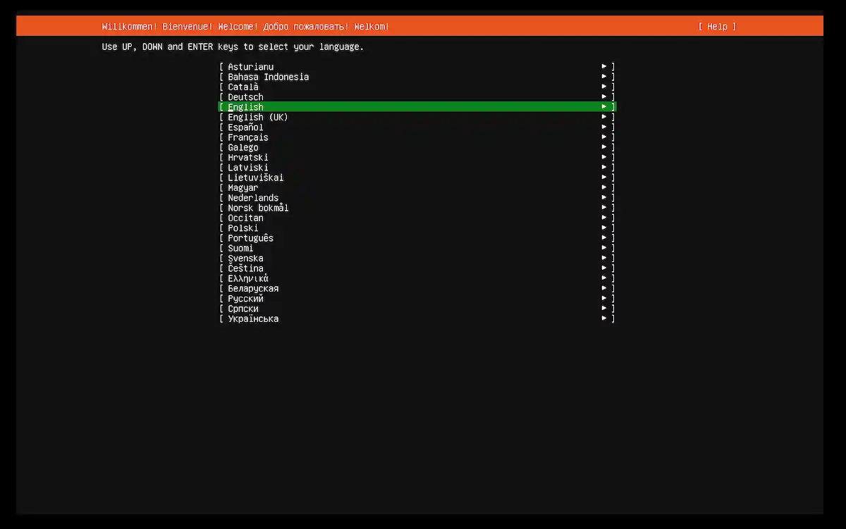 Ubuntu Server kurulum sihirbazı dil seçim ekranı; İngilizce (English) seçeneğinin vurgulandığı liste görünümü.