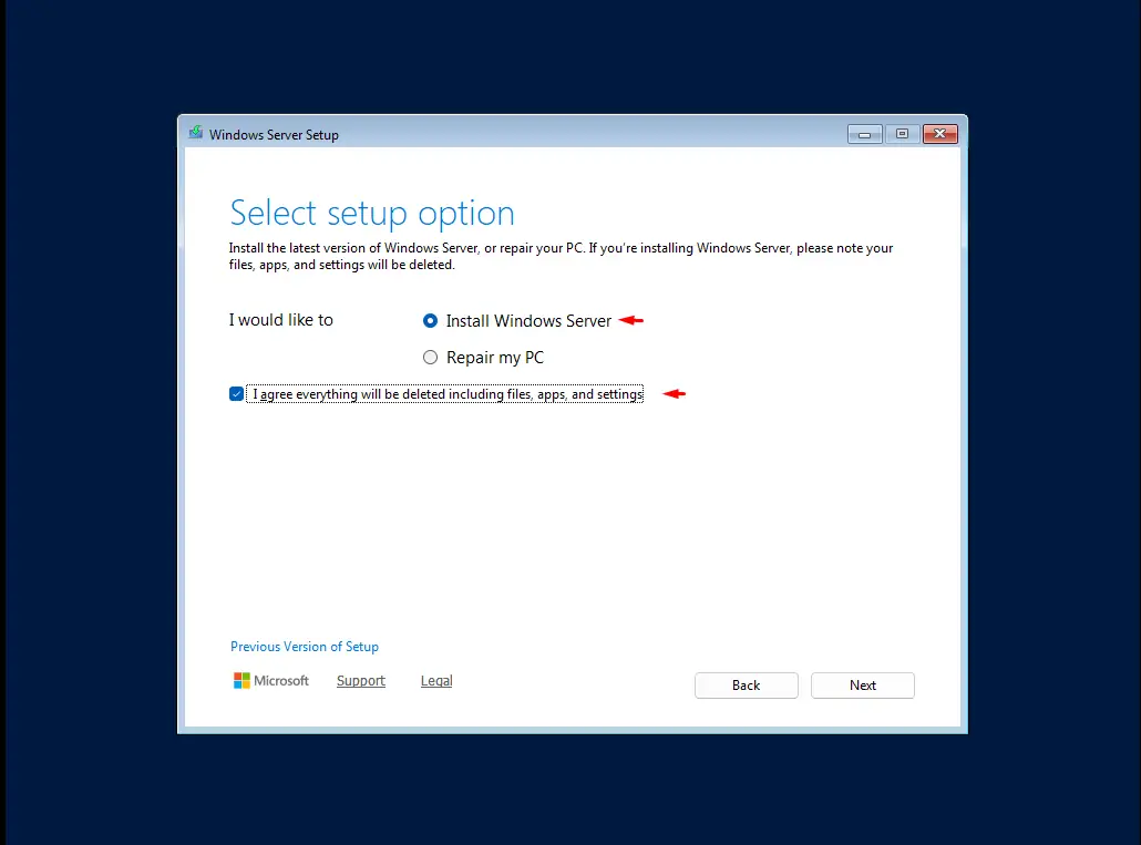 Windows Server 2025 kurulum türü seçim ekranı: Install Windows Server seçili, veri silme onayı işaretli